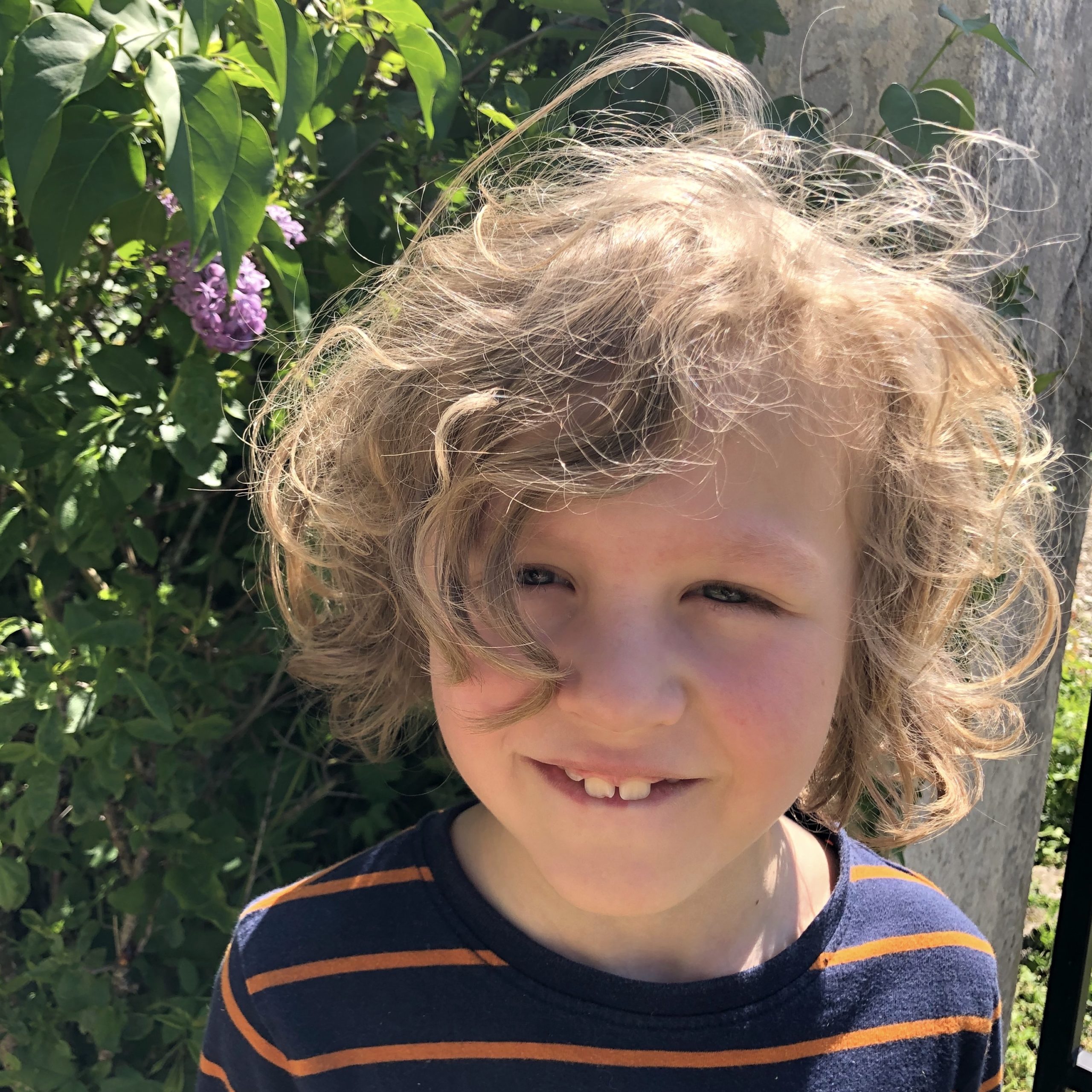 Long-haired Max